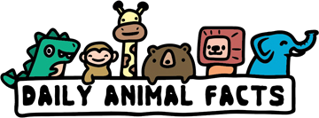Daily Animal Facts
